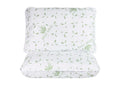 Set somnart 2 perne Aloe Vera microfibra 50x70
